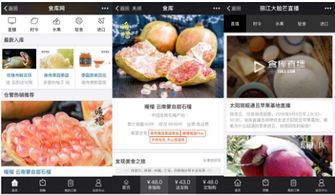 杭州四喜托管可信吗？事实说话 食库网农产品基地加工与品牌营销的领航者