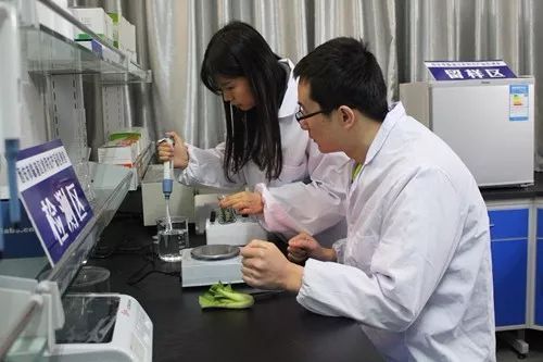 这一年，严字当头 护航舌尖上的安全，食用农产品初加工