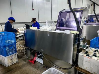 机械化助力食用菌产业化生产 为乡村振兴撑开“致富伞”