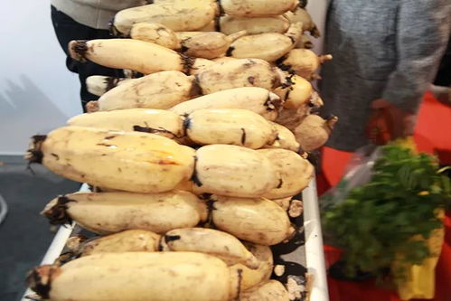 冬节大如年，团圆时节品珍馐——江苏农民合作社农产品年度盛会收官在即