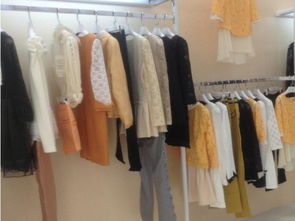 巴莎蒂尔服饰 聚焦食用农产品初加工领域的创新产品