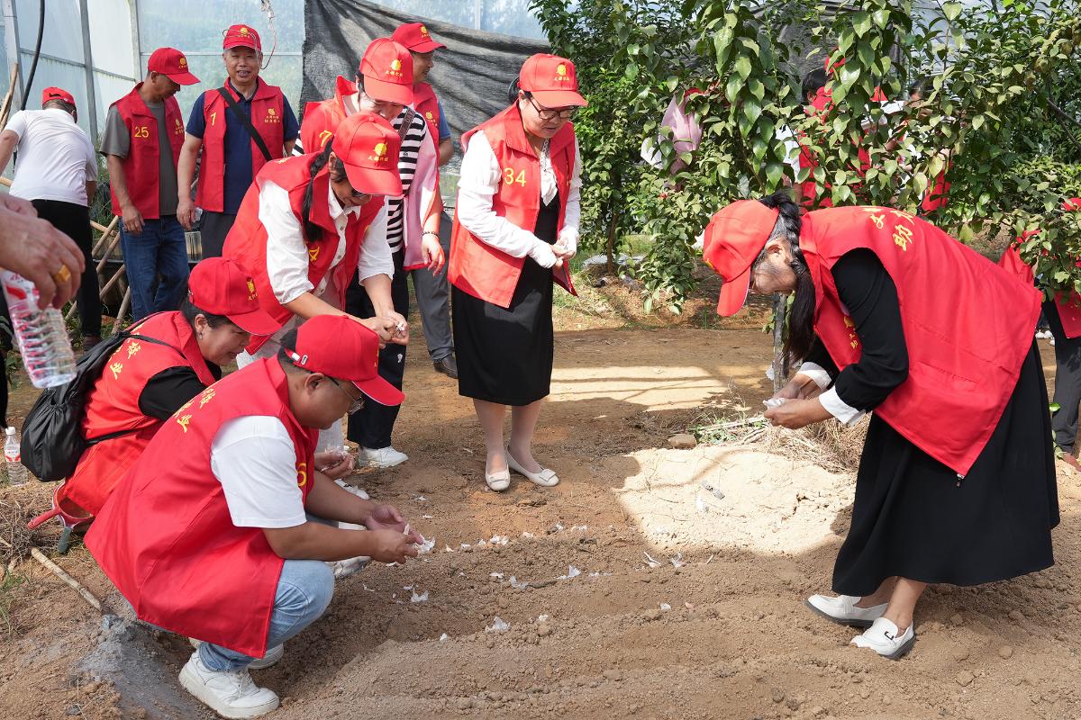 文都职校举办高素质农民培训 蔬菜种植与食用农产品初加工