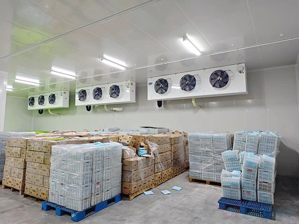 建造农产品产地初加工冷库 所需资质与造价预算详解